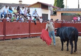 Un aficionado durante la suelta del novillo de cajón en la plaza