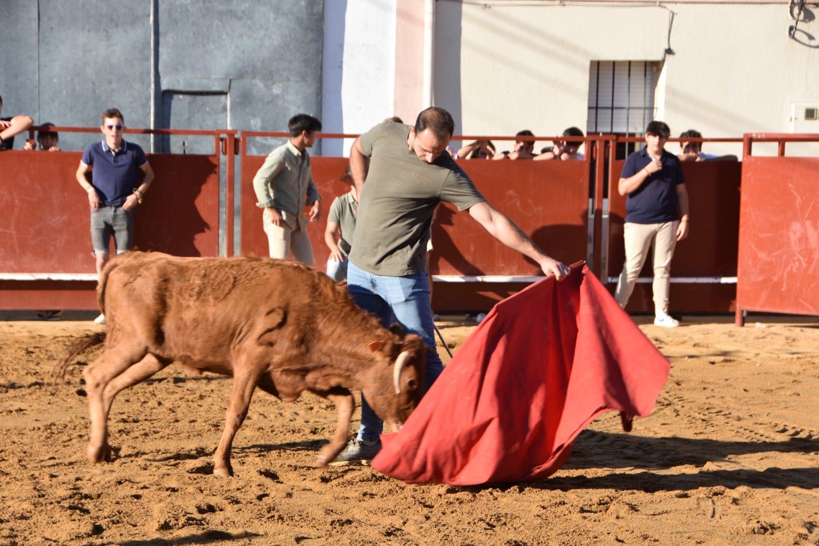 Aldehuela de la Bóveda vibra con el novillo de cajón