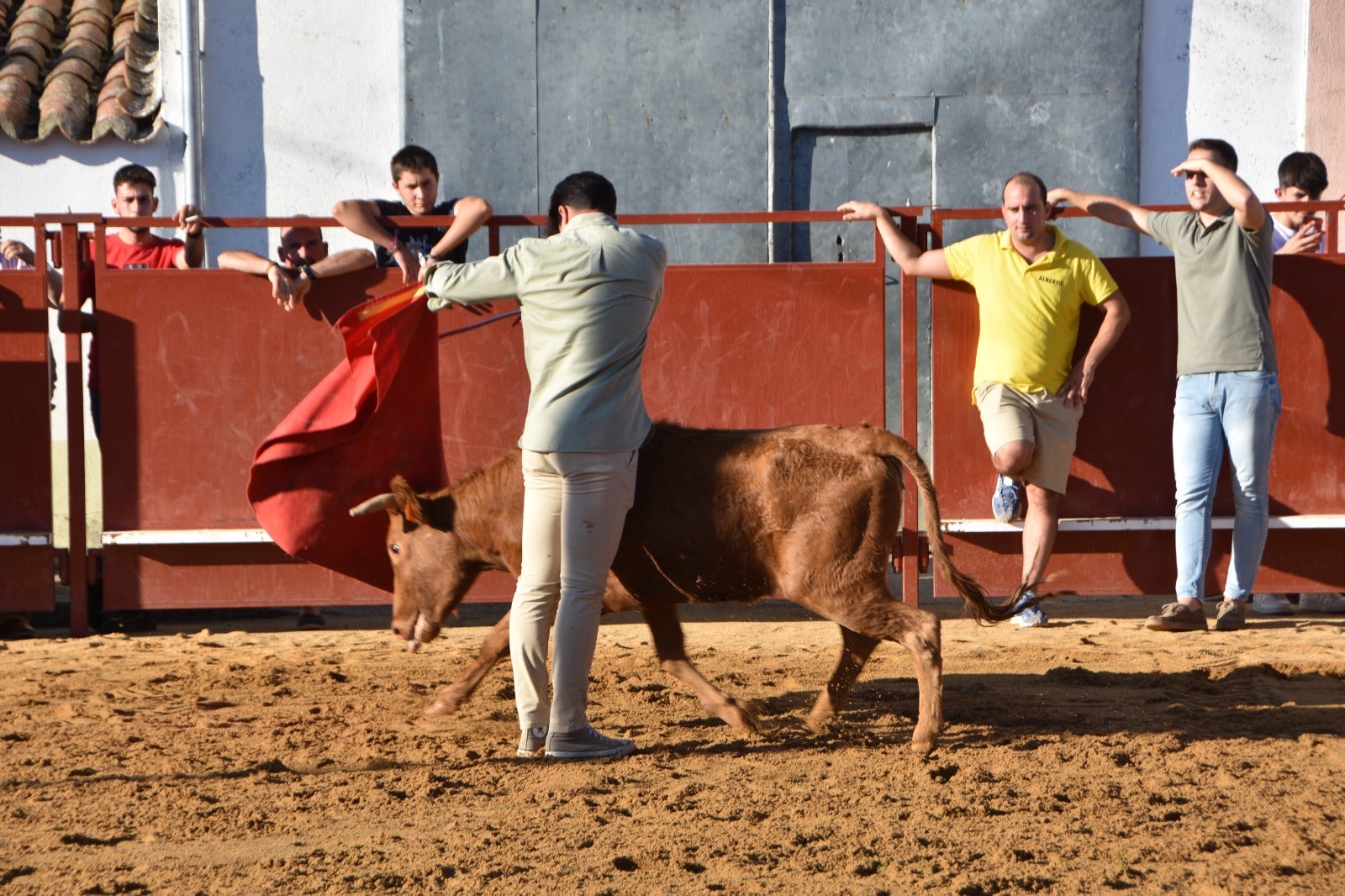 Aldehuela de la Bóveda vibra con el novillo de cajón