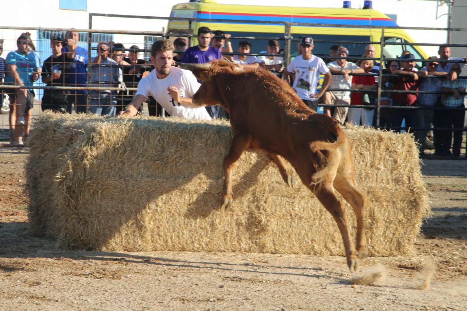 Divertida capea con vaquillas saltarinas en Santiz