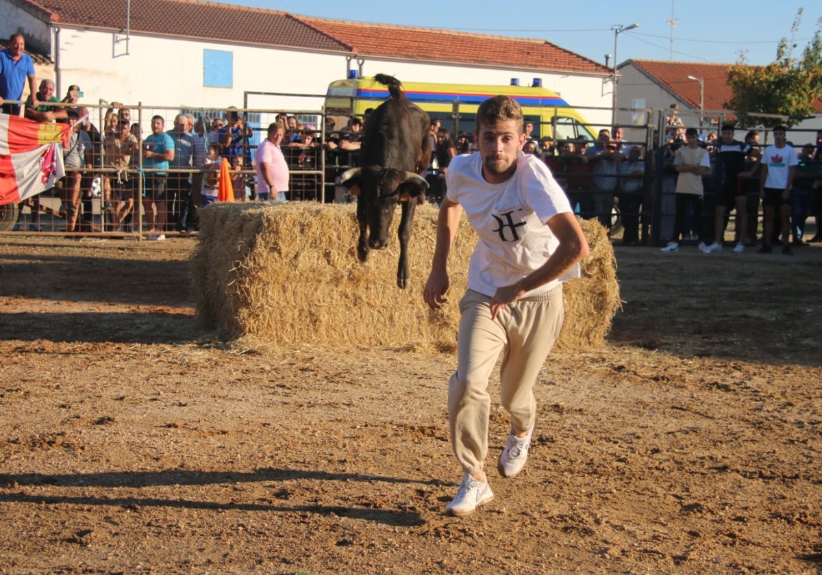 Divertida capea con vaquillas saltarinas en Santiz