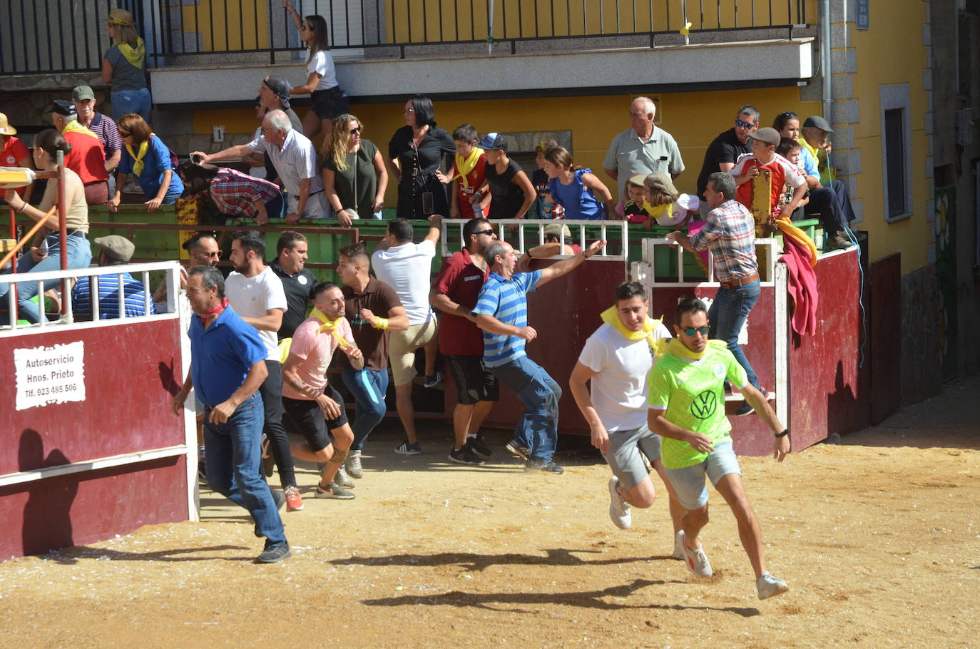 Último encierro en El Maíllo