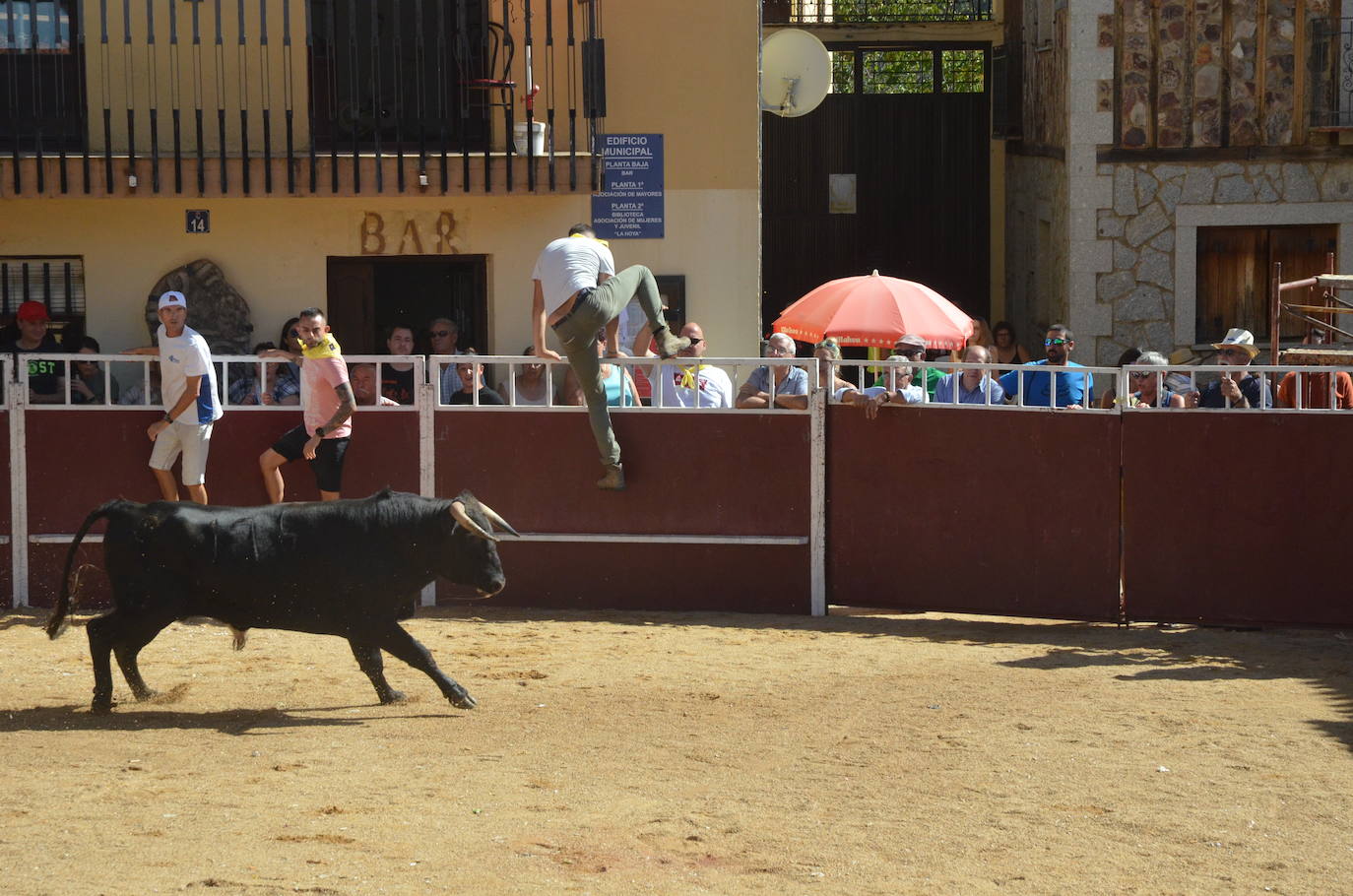 Último encierro en El Maíllo