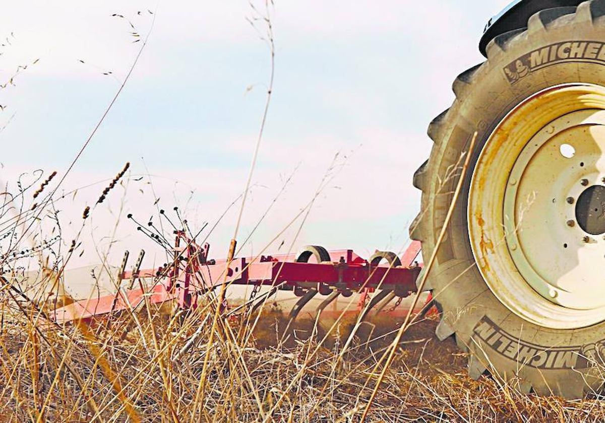 Los agricultores están pendientes de las modificaciones en el Plan Estratégico de la PAC (2023-2027).