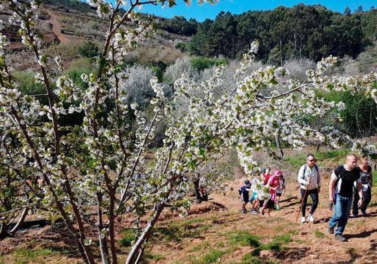 Varios senderistas en la Sierra de Francia