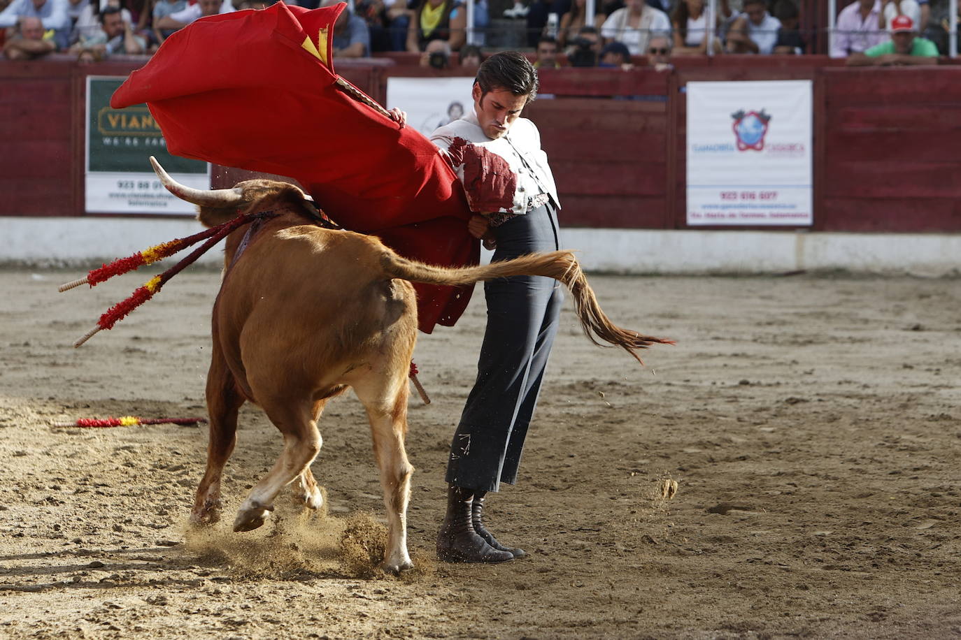 La marea amarilla alienta el toreo