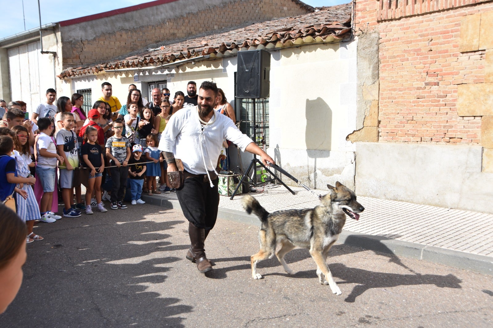 Un lobo canadiense o un suricato, en el Mercado Medieval de Castellanos