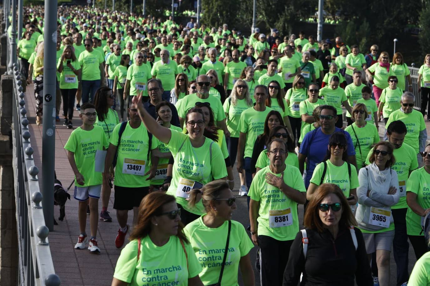 15.000 personas tiñen Salamanca de verde esperanza en la lucha contra el cáncer