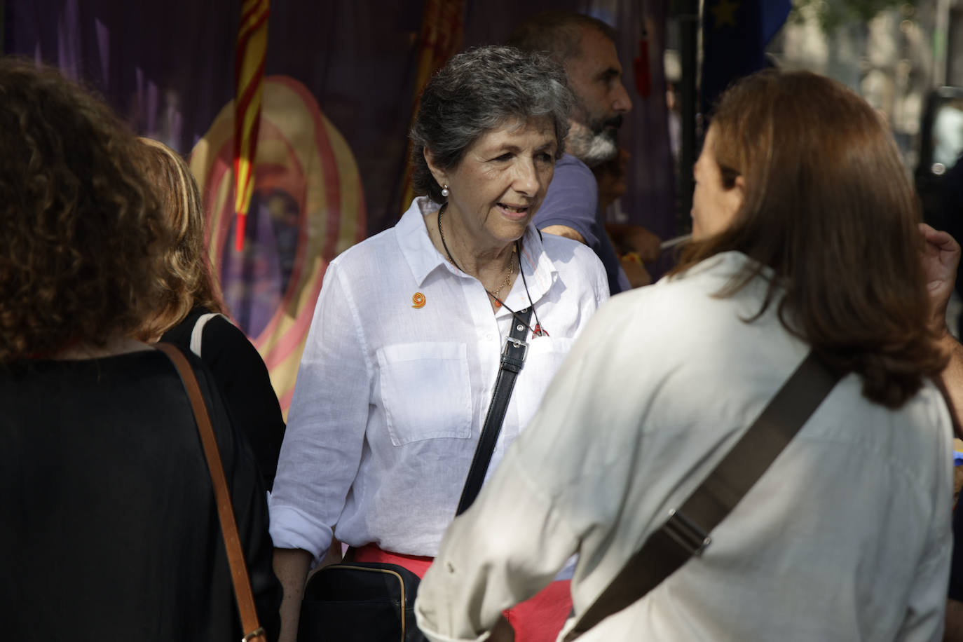 Los ingeniosos mensajes de la pancartas de la manifestación contra la amnistía en Barcelona