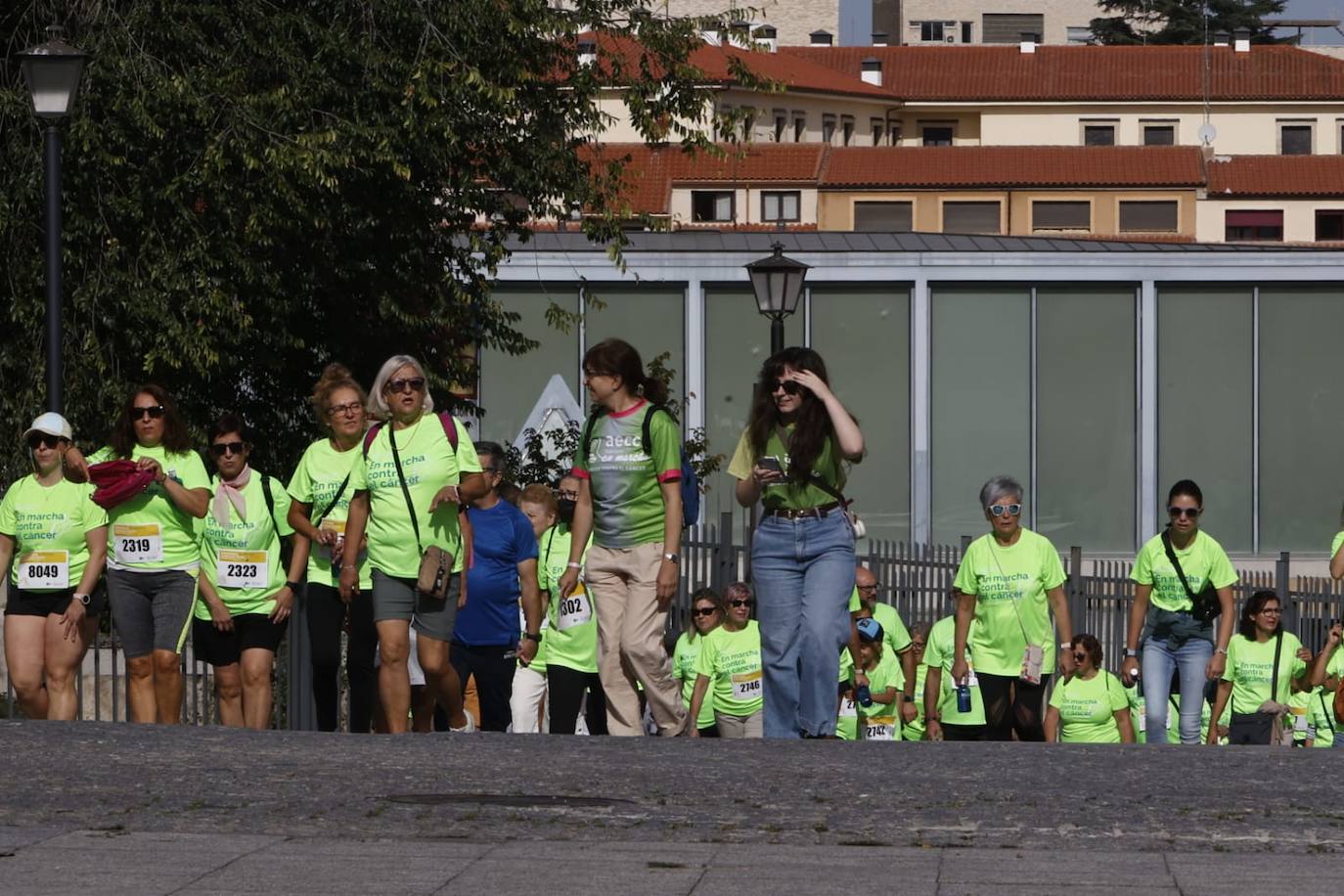 Las mejores imágenes de la Marcha contra el Cáncer de Salamanca