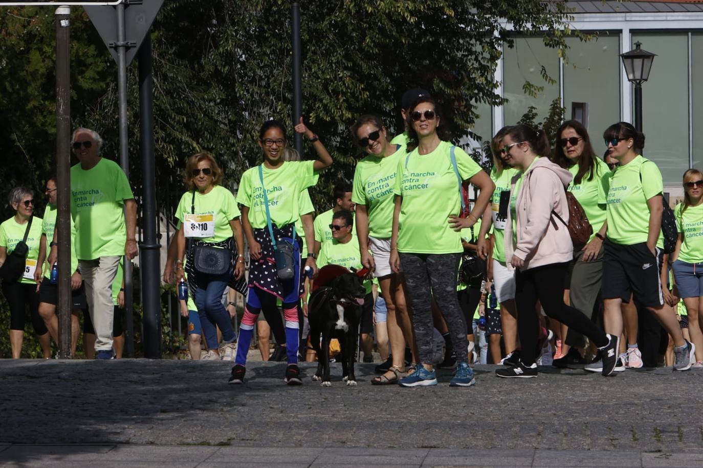 Las mejores imágenes de la Marcha contra el Cáncer de Salamanca