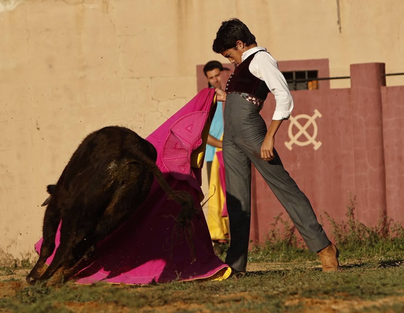 Marco Pérez en el tentadero de Peña de Cabra, con vacas de Loreto Charro