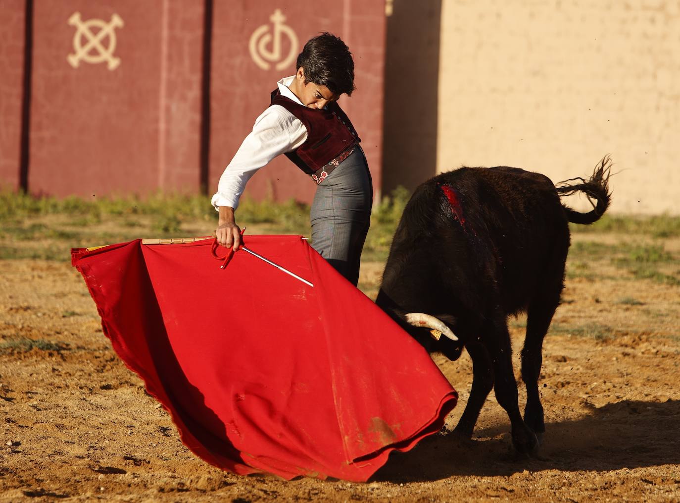 Marco Pérez en el tentadero de Peña de Cabra, con vacas de Loreto Charro