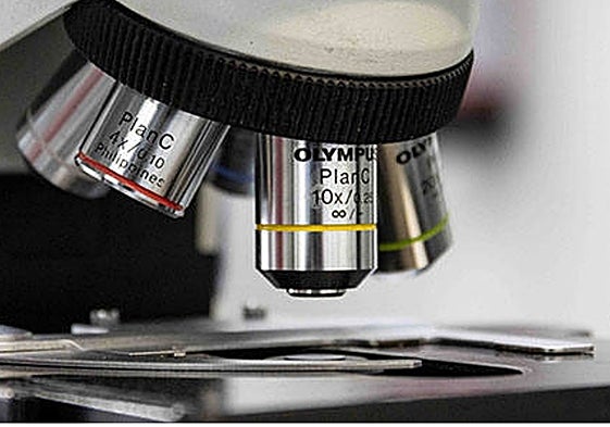 Un laboratorio de investigación.