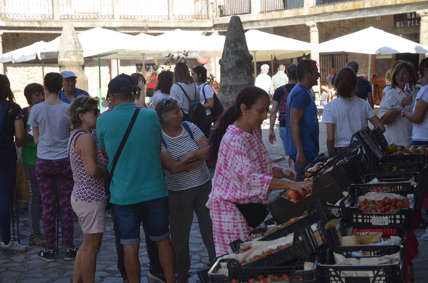 San Martín celebra el sabor en la X Fiesta de la Vendimia