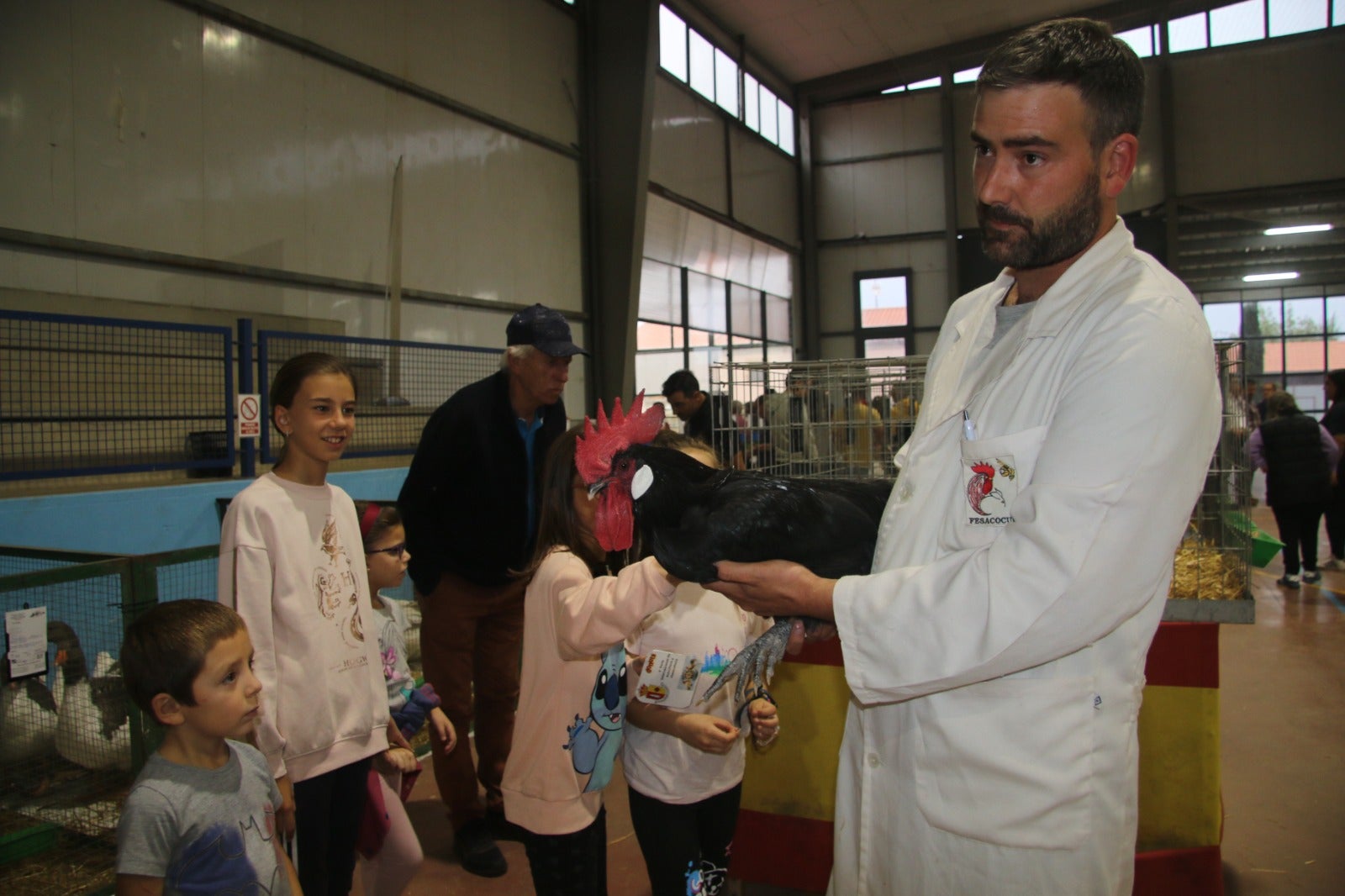 Gallinas de la época de los Reyes Católicos