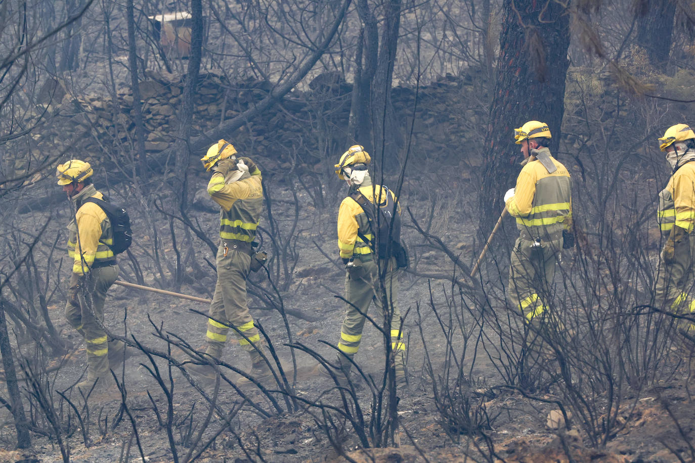 Una cuadrilla revisa el terreno afectado tras apagar un incendio forestal.