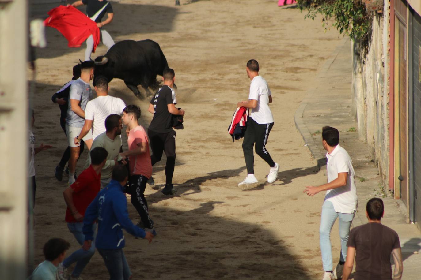 Así ha sido el Toro de Cajón en Alba de Tormes