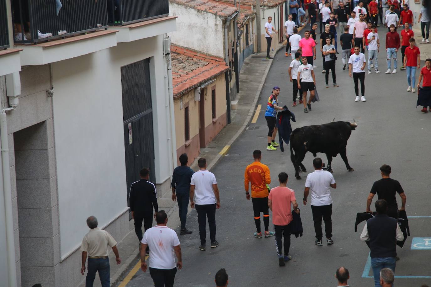 Así ha sido el Toro de Cajón en Alba de Tormes