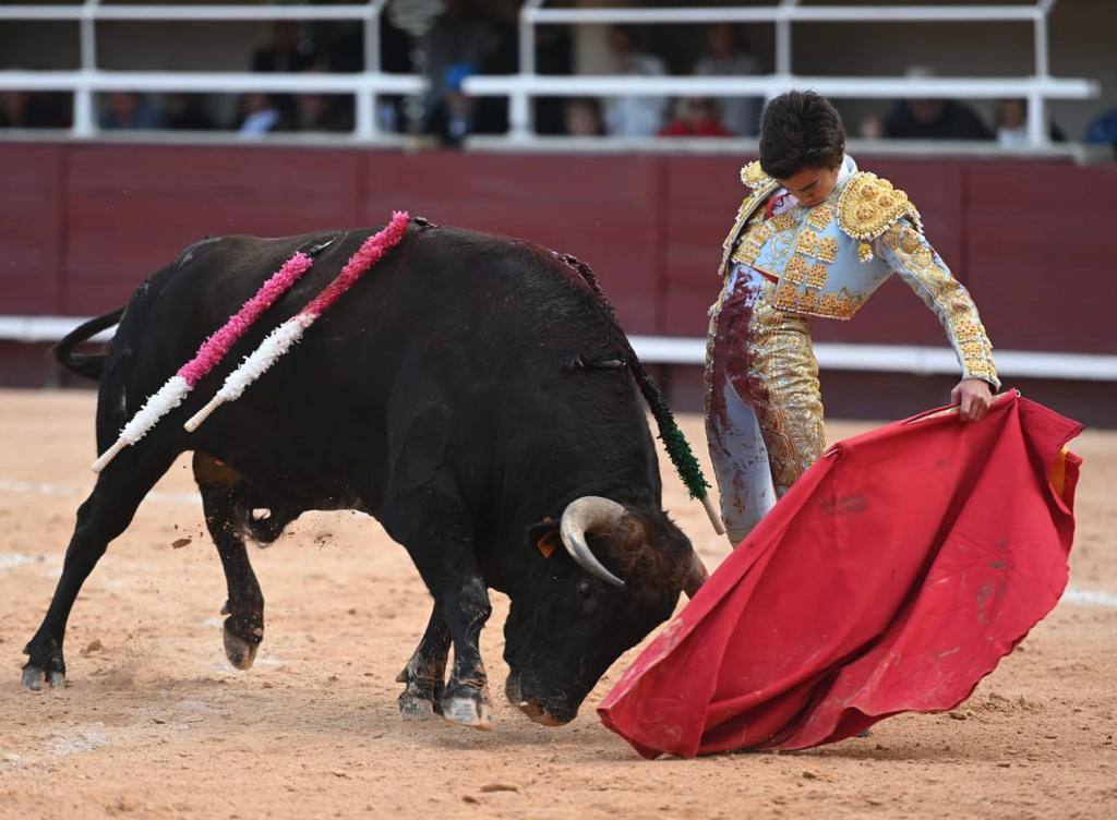 Excelente natural de Marco Pérez al novillo Despierto, al que desorejó en Istres (Francia)