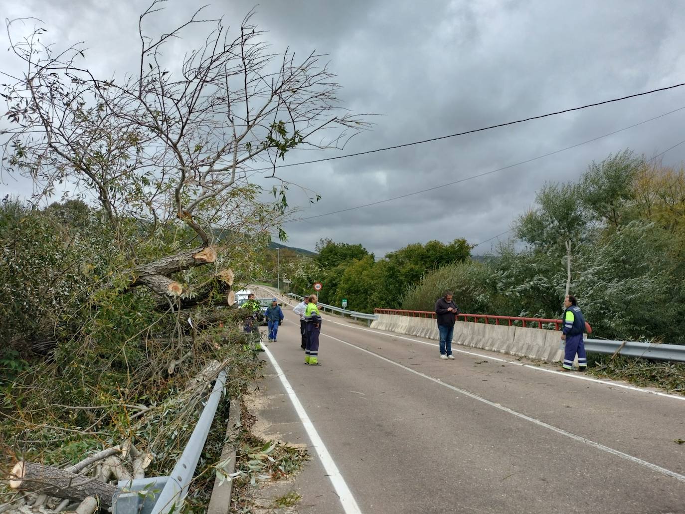 Los efectos de las fuertes rachas del viento en la provincia de Salamanca