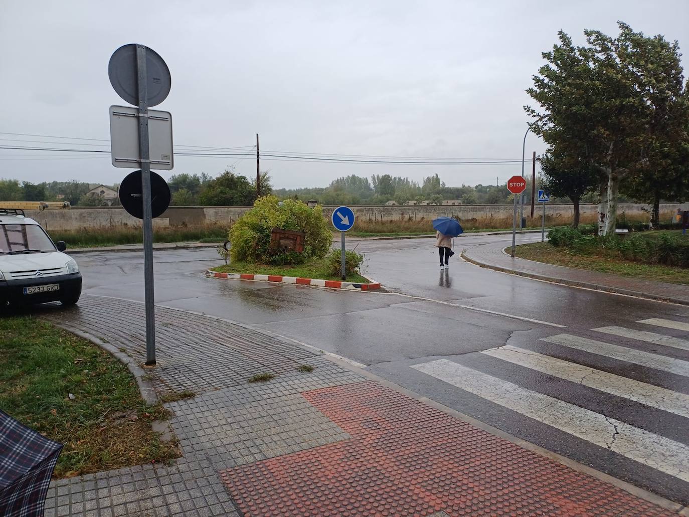 Los efectos de las fuertes rachas del viento en la provincia de Salamanca