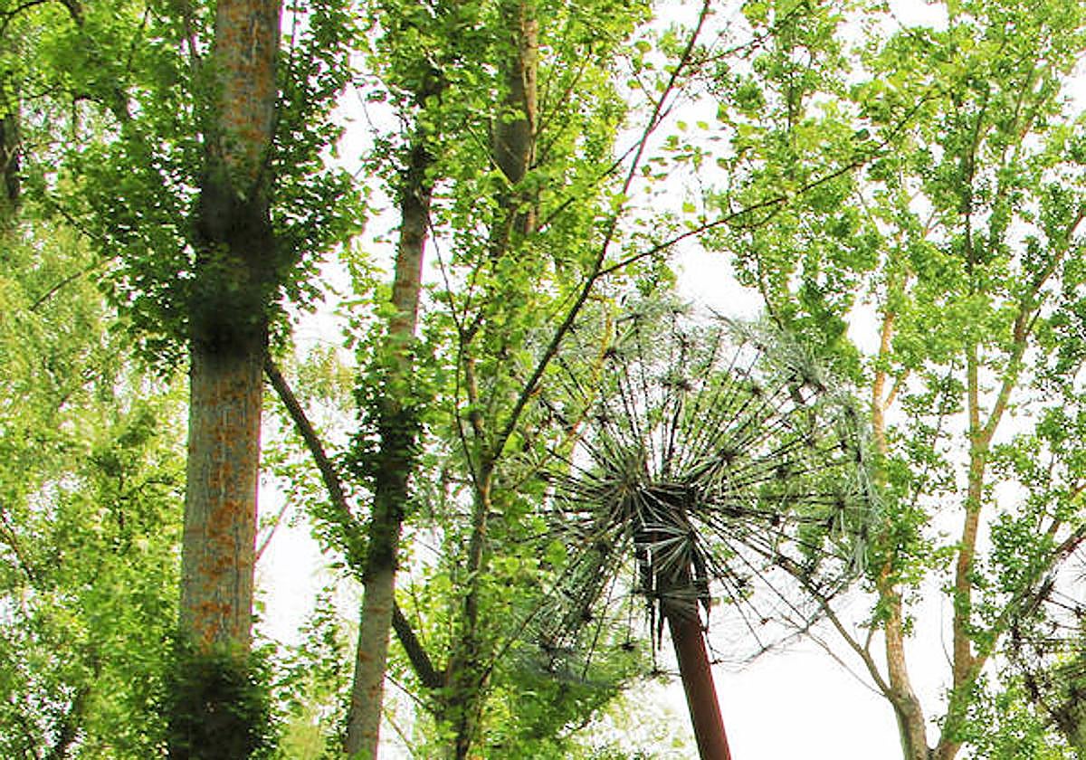 Una nueva 'isla' en Salamanca