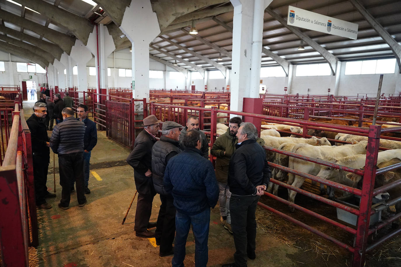 Imagen del mercado de ganados este lunes.