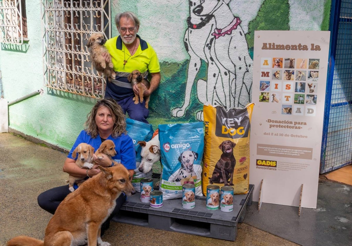 Setenta protectoras de animales se han beneficiado de la campaña.