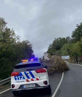 Imagen secundaria 2 - Béjar cierra sus parques debido al temporal de viento y lluvia