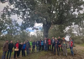 Participantes en la jornada micológica celebrada en Escurial de la Sierra