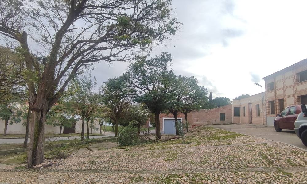 El temporal de lluvia y viento Ciarán deja su huella en la comarca de Peñaranda