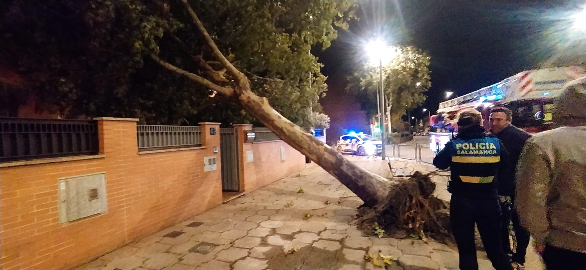 Los efectos de la borrasca Ciarán en Salamanca, en imágenes