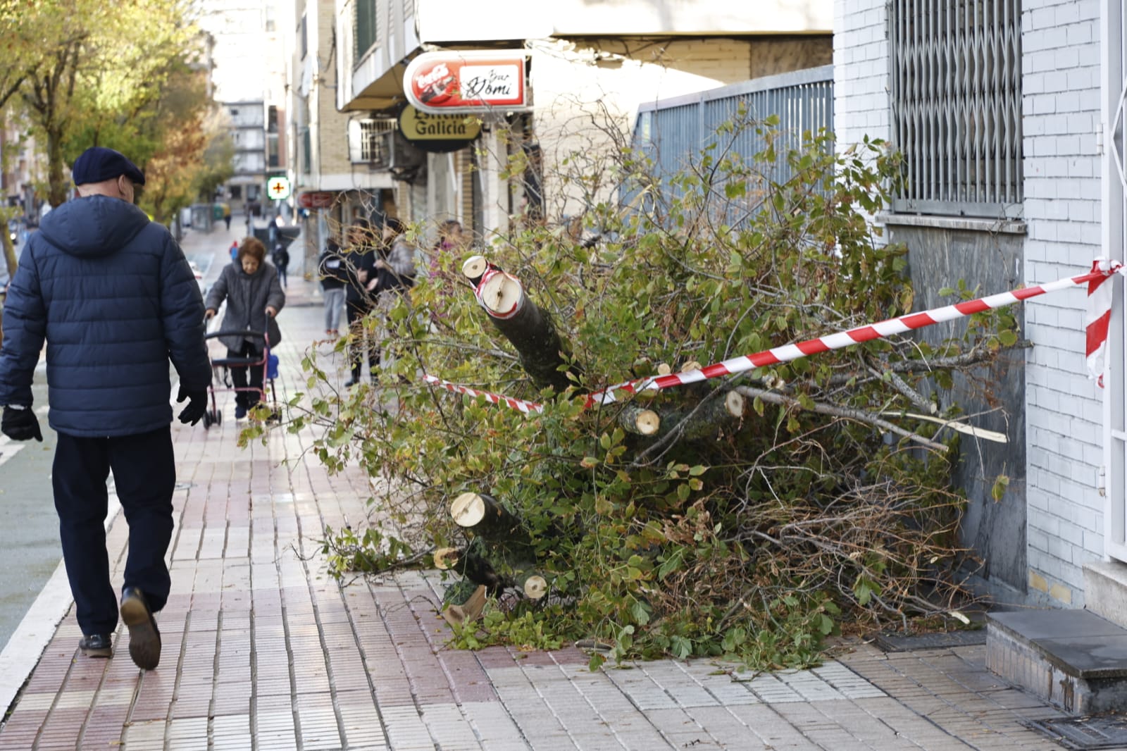 Los efectos de la borrasca Ciarán en Salamanca, en imágenes