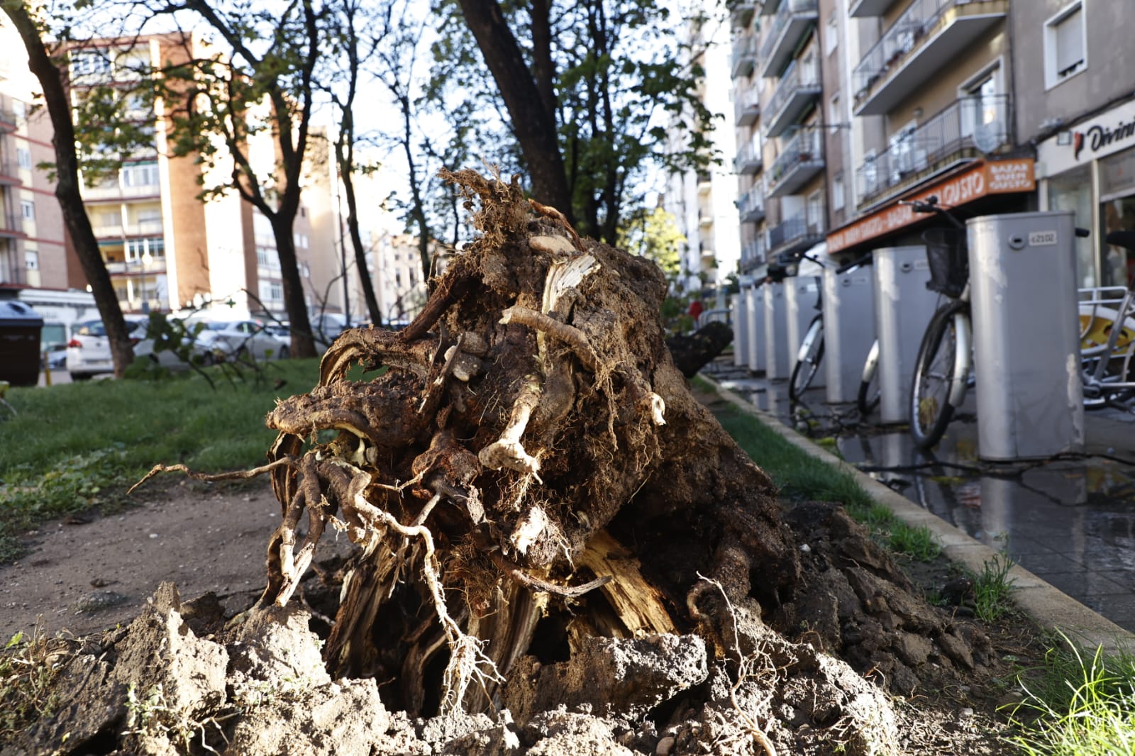 Los efectos de la borrasca Ciarán en Salamanca, en imágenes