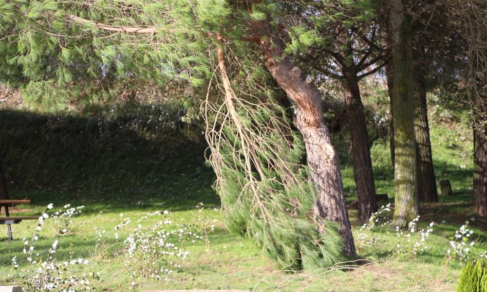 La comarca de Peñaranda siente la borrasca &#039;Domingos&#039;
