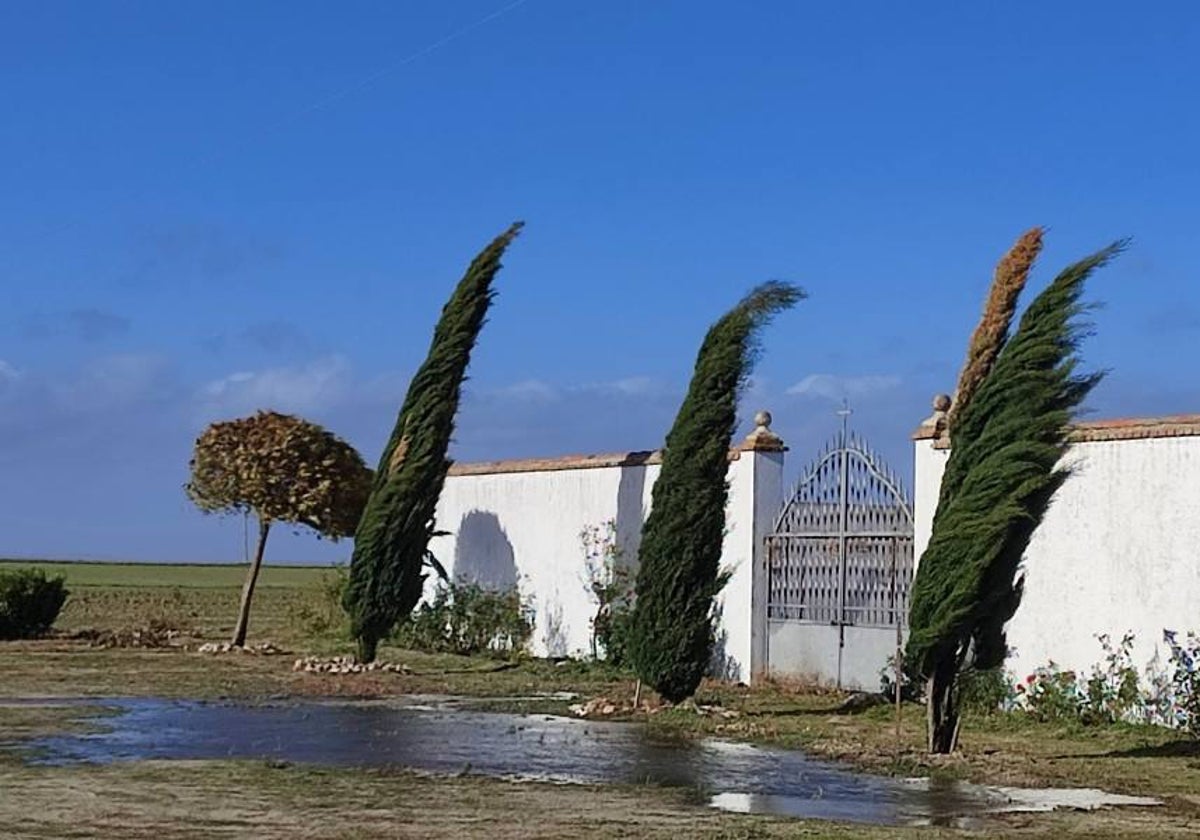 La comarca de Peñaranda siente la borrasca &#039;Domingos&#039;