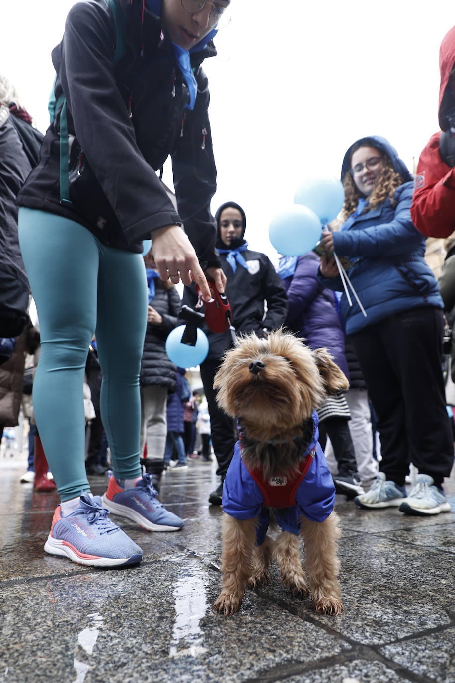 La marcha por la diabetes en Salamanca, en imágenes