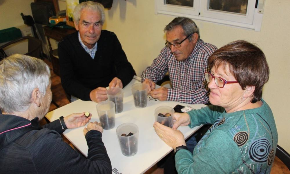 Castañas a un euro en Cantaracillo y Babilafuente