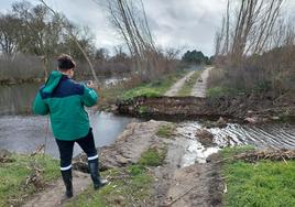 Estado del puente del regato de Pocilgas tras la riada en enero en Sieteiglesias de Tormes.