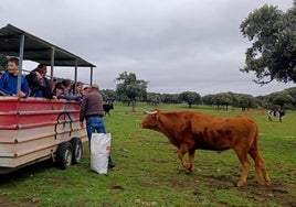 Un grupo de niños subidos en un remolque echando de comer tacos.