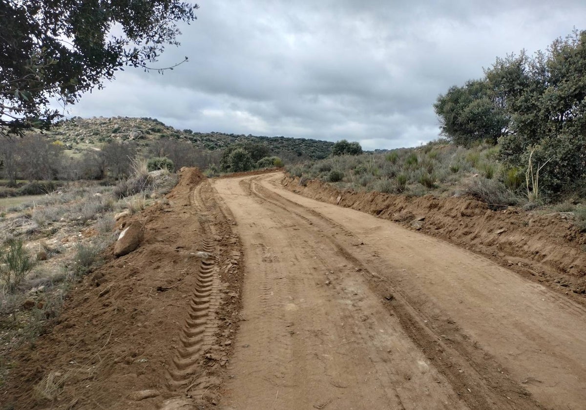 Imagen de uno de los caminos trazados este mes de noviembre en la zona que quedaba por realizar.