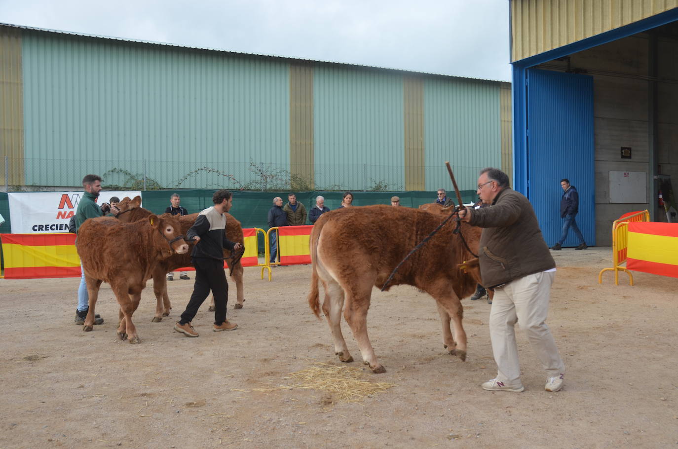 II Concurso de limusín en la Feria de San Andrés