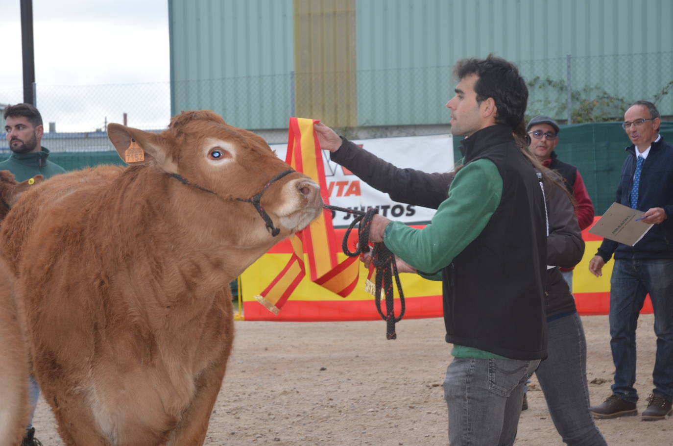 II Concurso de limusín en la Feria de San Andrés