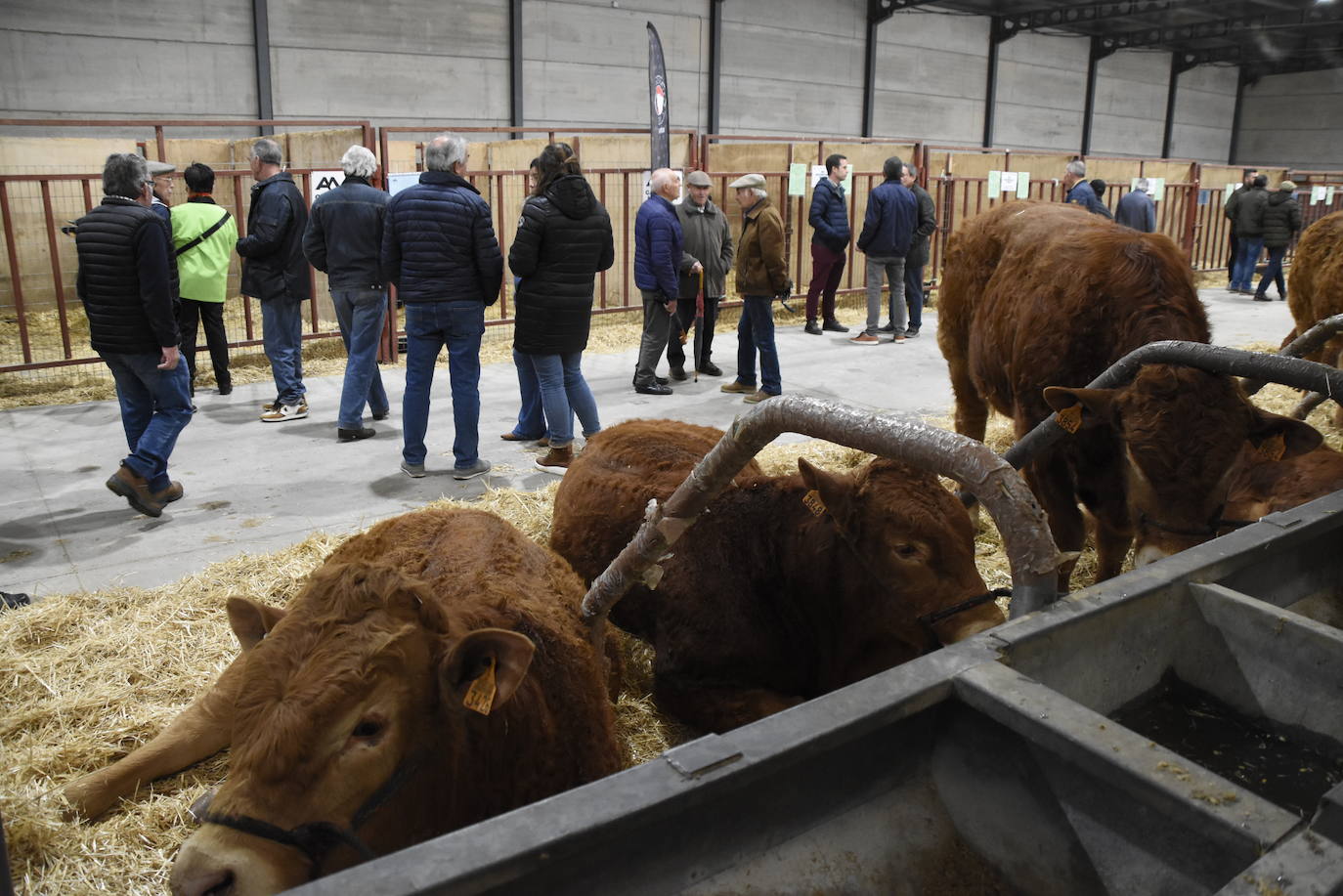 “Ciudad Rodrigo mantiene una apuesta clara por el sector primario”