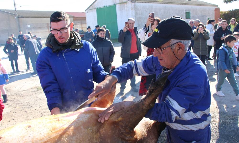 Sabor a fiesta en Palaciosrubios