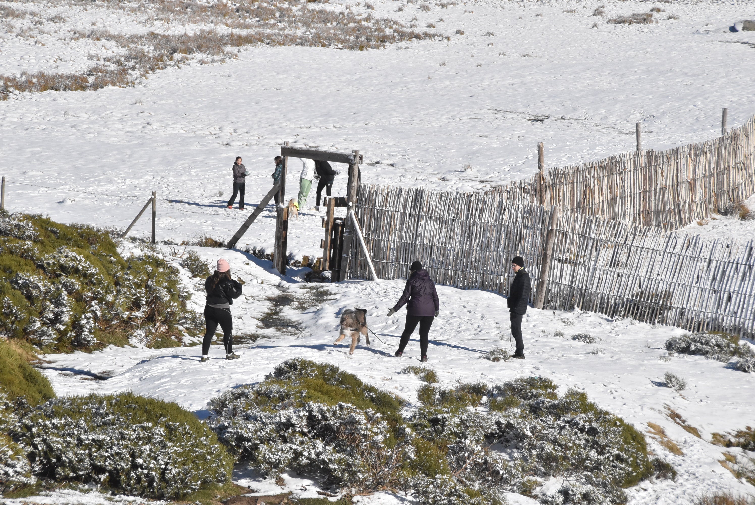 Abre La Covatilla y este puente se activarán los cañones para tener más nieve