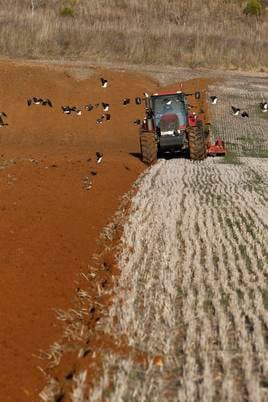 Un agricultor prepara la tierra con su tractor.