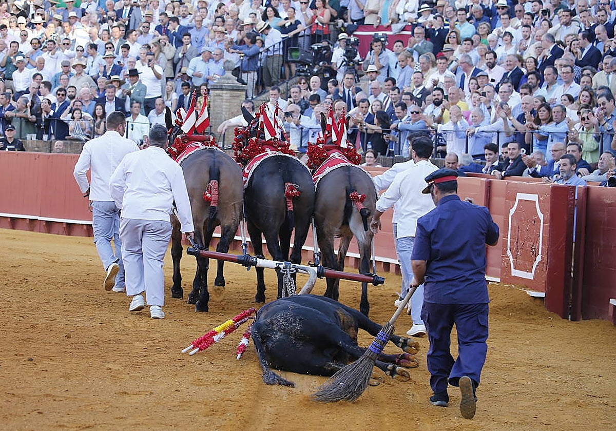 Vuelta al ruedo en el arrastre a Filósofo de Olga Jiménez en La Maestranza.