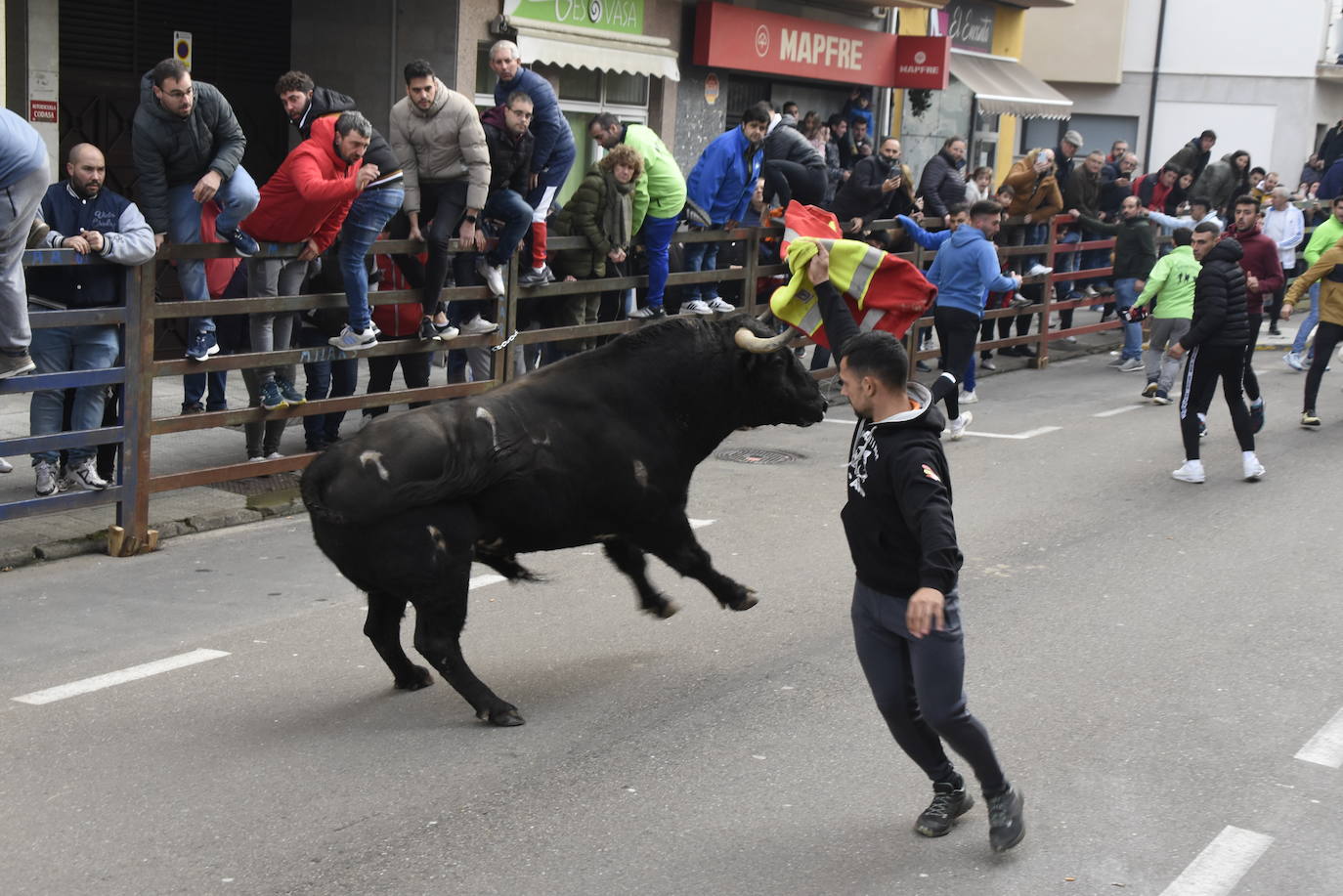 Emoción taurina en Vitigudino